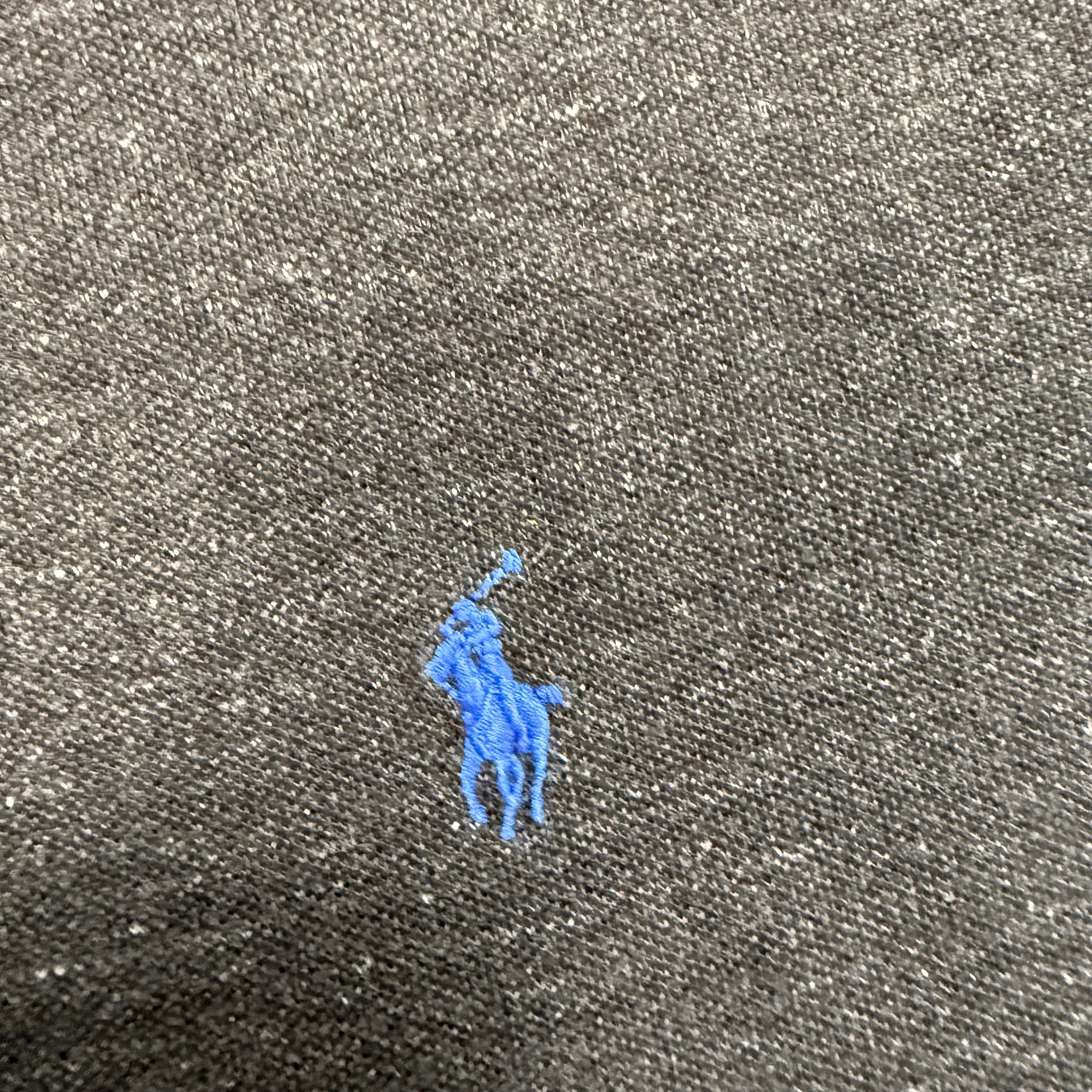Polo Ralph Lauren Small Logo Polo | M